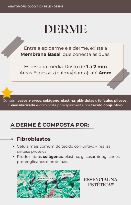 Página do livro digital - Derme