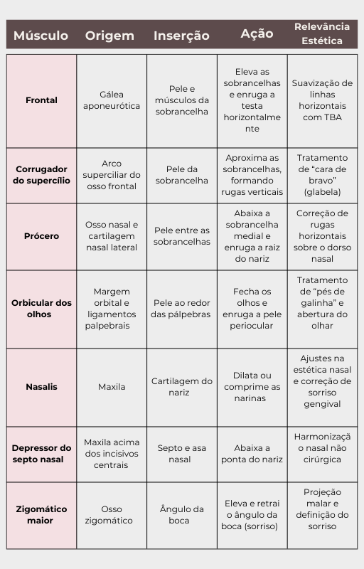 Página do livro digital - Músculos faciais